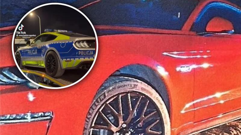 Mustang we flocie policji