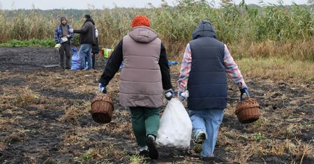 Dramat rolników. Oddają owoce i warzywa za darmo. Co tak naprawdę się dzieje na wsi?