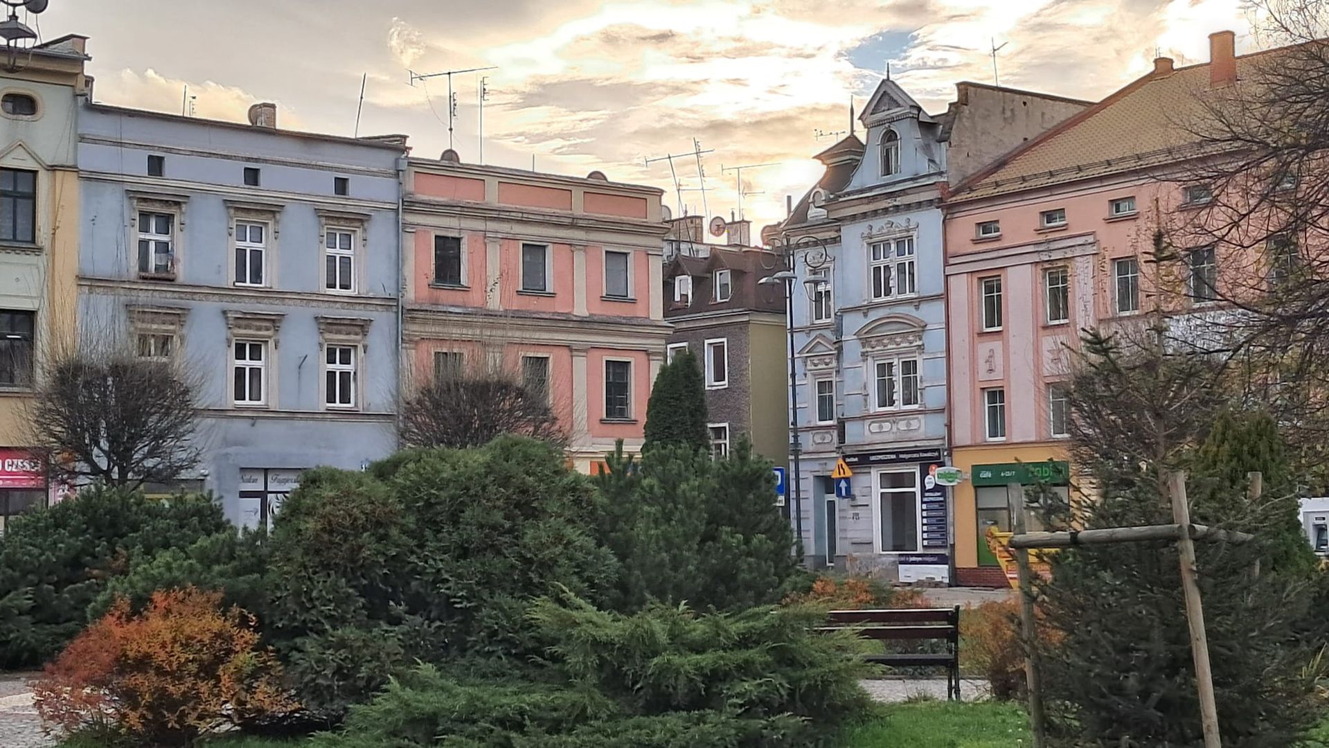 Jest tu mnóstwo zieleni