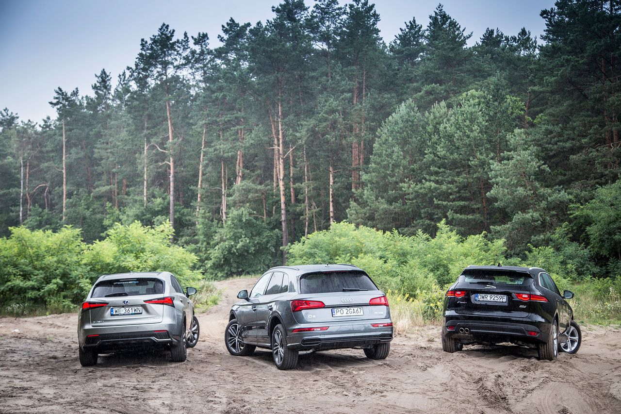 Audi Q5, Jaguar F-Pace i Lexus NX (fot. Mateusz Żuchowski)