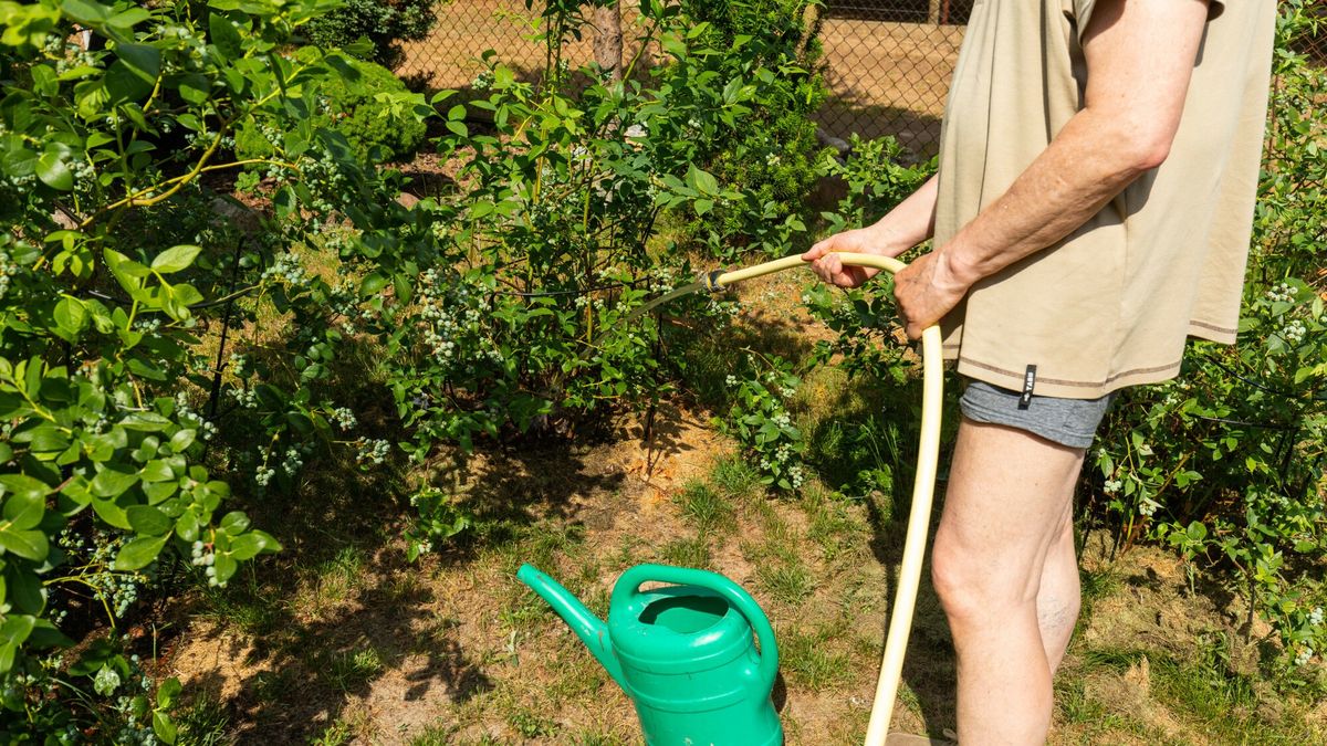 Obowiązek dla nowych działkowiczów