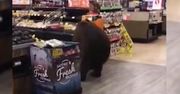 Niedźwiedź w sklepie. Wtargnął do marketu w Kalifornii i wyszedł z paczką czipsów