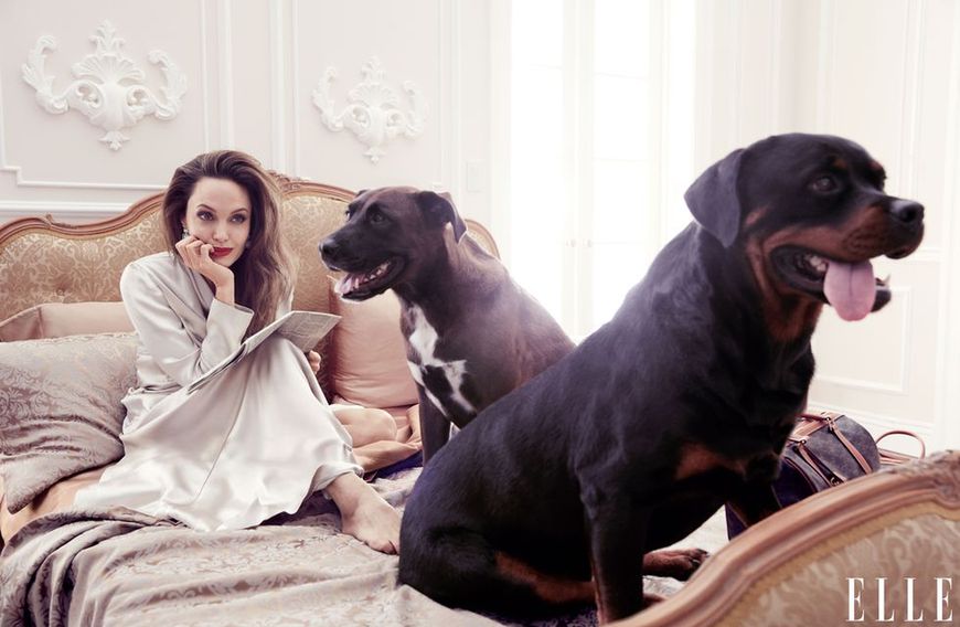Angelina Jolie w magazynie ELLE