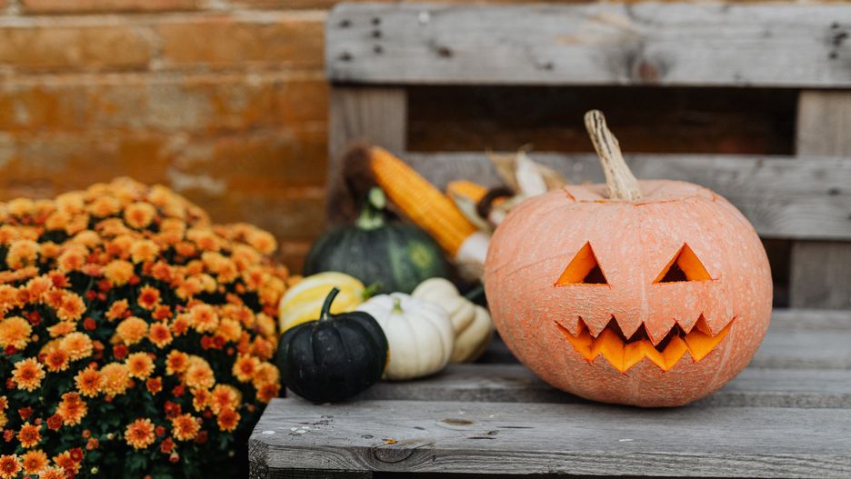 Halloween 2023 i Dziady. Co łączy te dwa święta?
