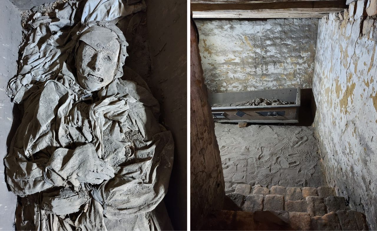 Ze śmiercią jej do twarzy. Historia mumii z Laskowic