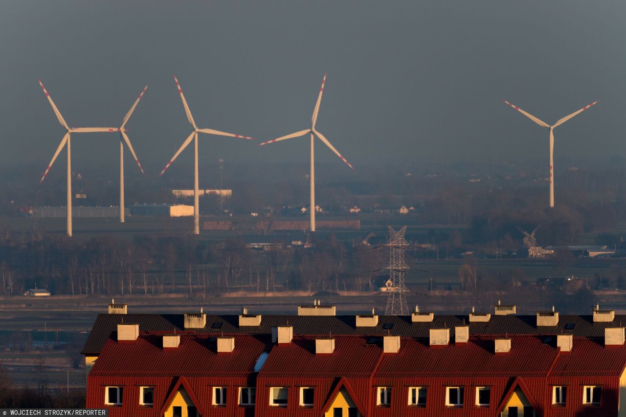 "Skończy się jak z robakami". Pokazali nowy plan klimatyczny