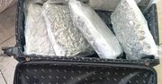 Kielce: Załatwili górę towaru i właśnie wtedy wpadła policja. Zatrzymani mężczyźni trafili do aresztu