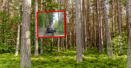 Mężczyzna przyłapany w lesie. Okropne, jak się zachował
