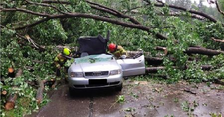 Groźna burza w powiecie ryckim. Drzewo przygniotło auto