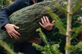 Lasy Państwowe ostrzegają. "Znalazł to na sobie dzisiaj leśniczy"