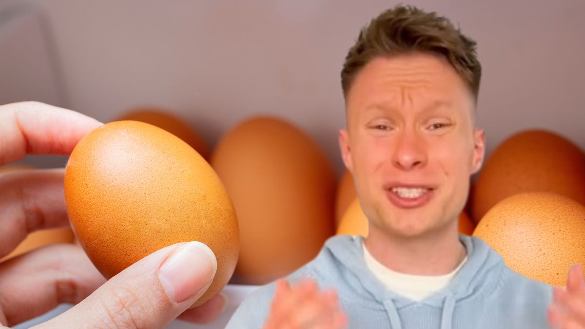 Przechowywanie jajek - Pyszności