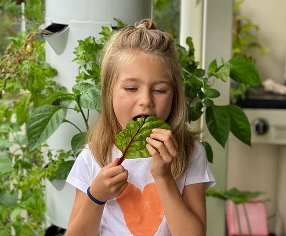 Dziewczynka, która nigdy nie jadła cukru ma 6 lat. Jak teraz wygląda jej dieta?