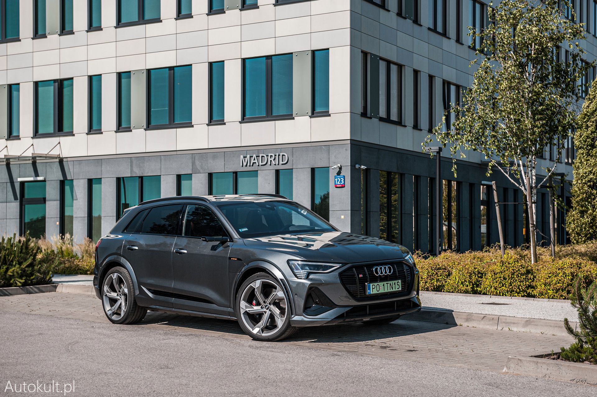 Zdjęcie ilustracyjne do artykułu