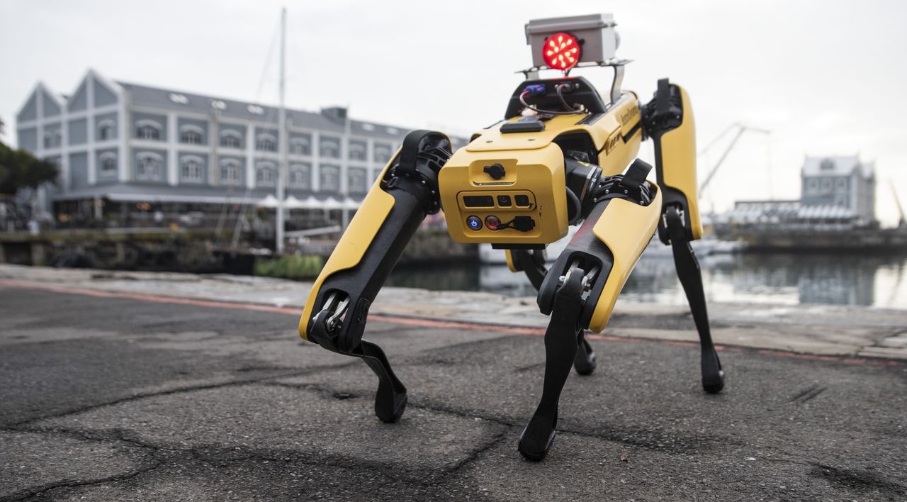 Robotyczny pies od Boston Dynamics trafi do Ukrainy. Będzie wykonywać niebezpieczne misje