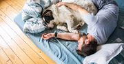 Pies śpi z tobą w łóżku? Ekspertka przestrzega