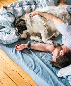 Pies śpi z tobą w łóżku? Ekspertka przestrzega