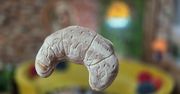 Poznań: Rękodzieło z duszą i historią. Stworzyły miejsce pełne emocji