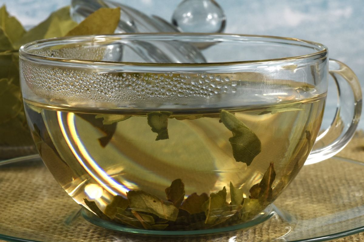 Nie tylko do bigosu czy rosołu. Z tych liści przygotujesz herbatę, która pomoże przy stłuszczonej wątrobie