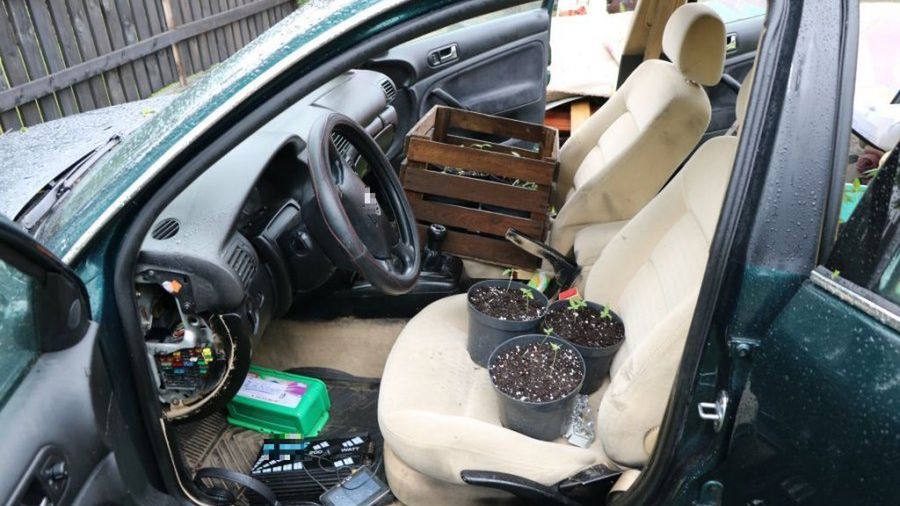 Volkswagen Passat jako szklarnia