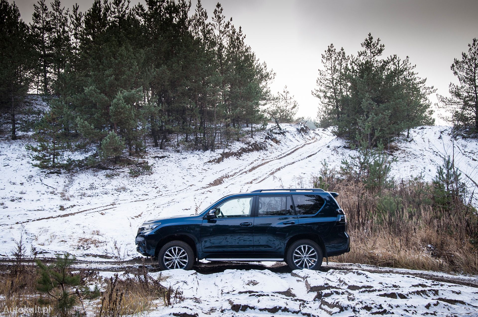 Toyota Land Cruiser (2021) (fot. Mateusz Żuchowski)