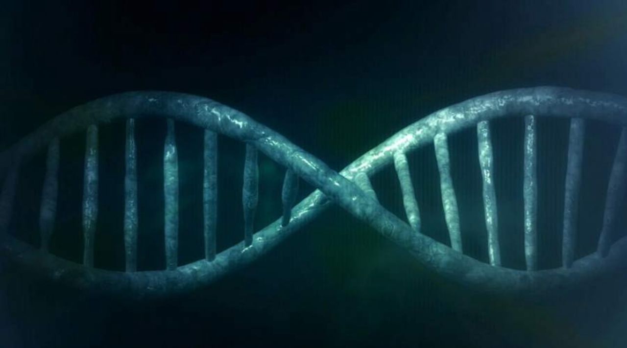 DNA