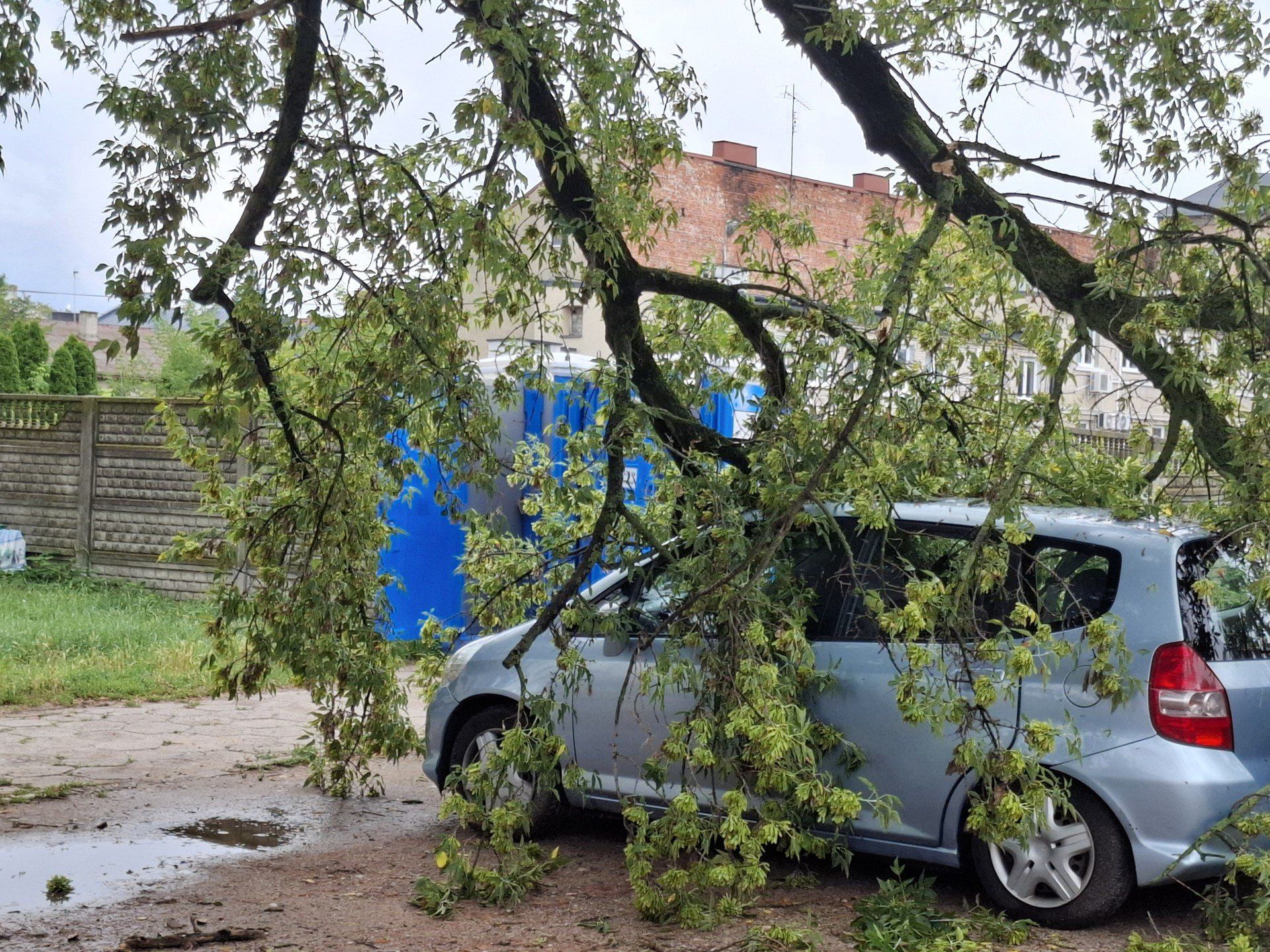 Konar przygniótł samochód na parkingu na tyłach Ratusza