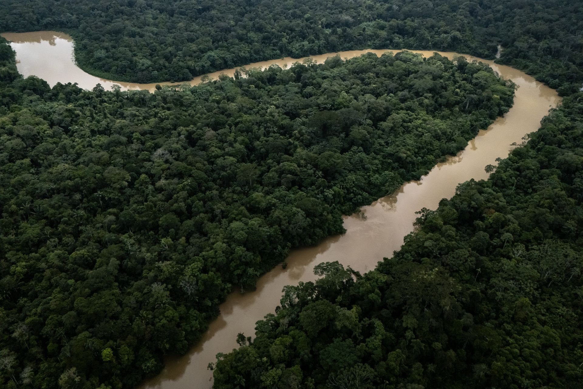 AI wybrało. To miejsce może być cenne dla archeologów