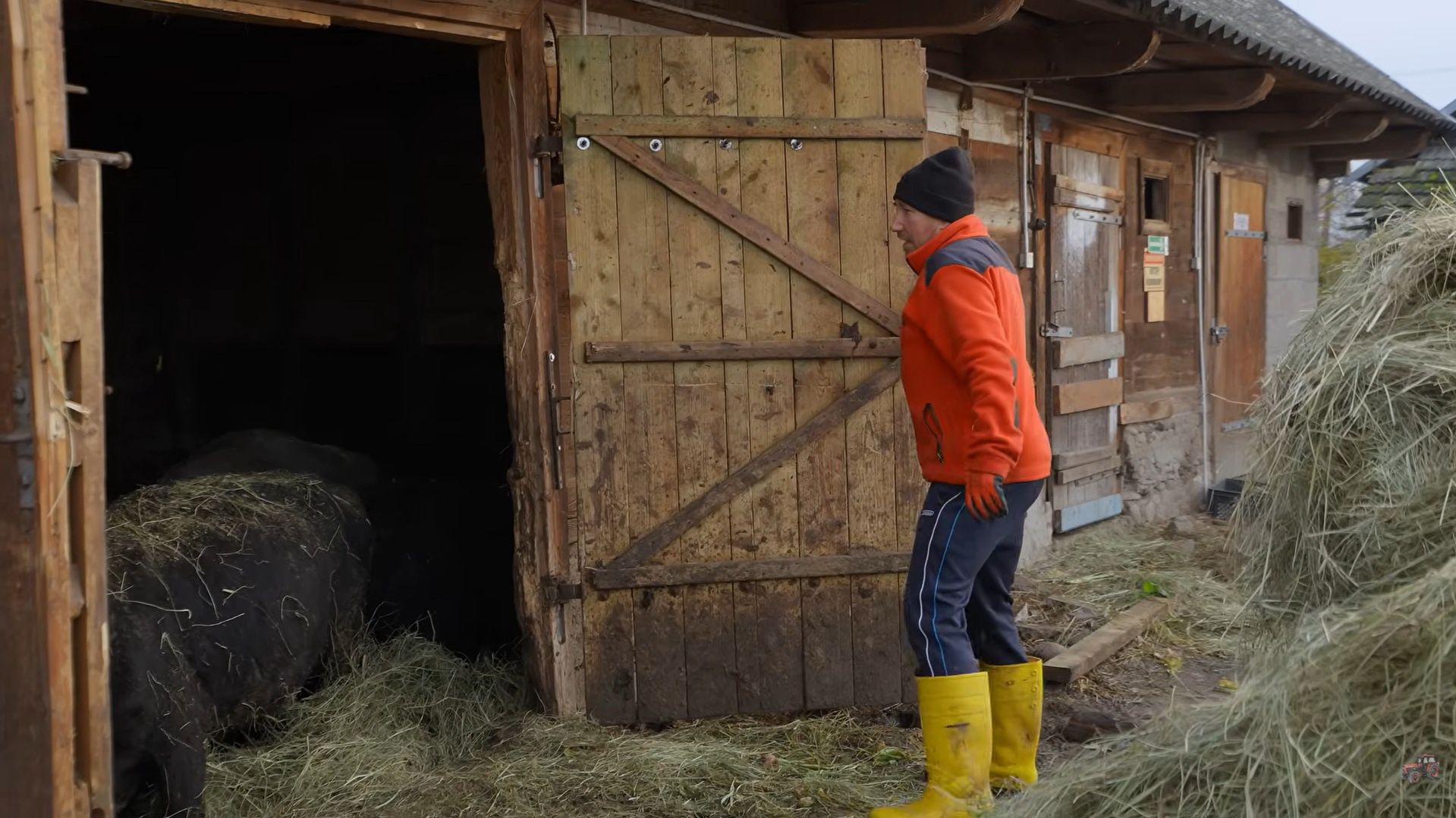 Obora Andrzeja z Plutycz z "Rolnicy. Podlasie"