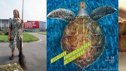 W skrócie: Chris Niedenthal w Katowicach, najlepsze zdjęcia dzikiej przyrody w Tarnowie, smakowita fotografia w Łodzi 1