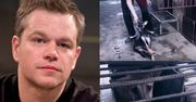 Matt Damon zapewniał, że pomoże psom z Chin... WSZYSTKIE ZGINĘŁY. "Życie straciły setki psów"
