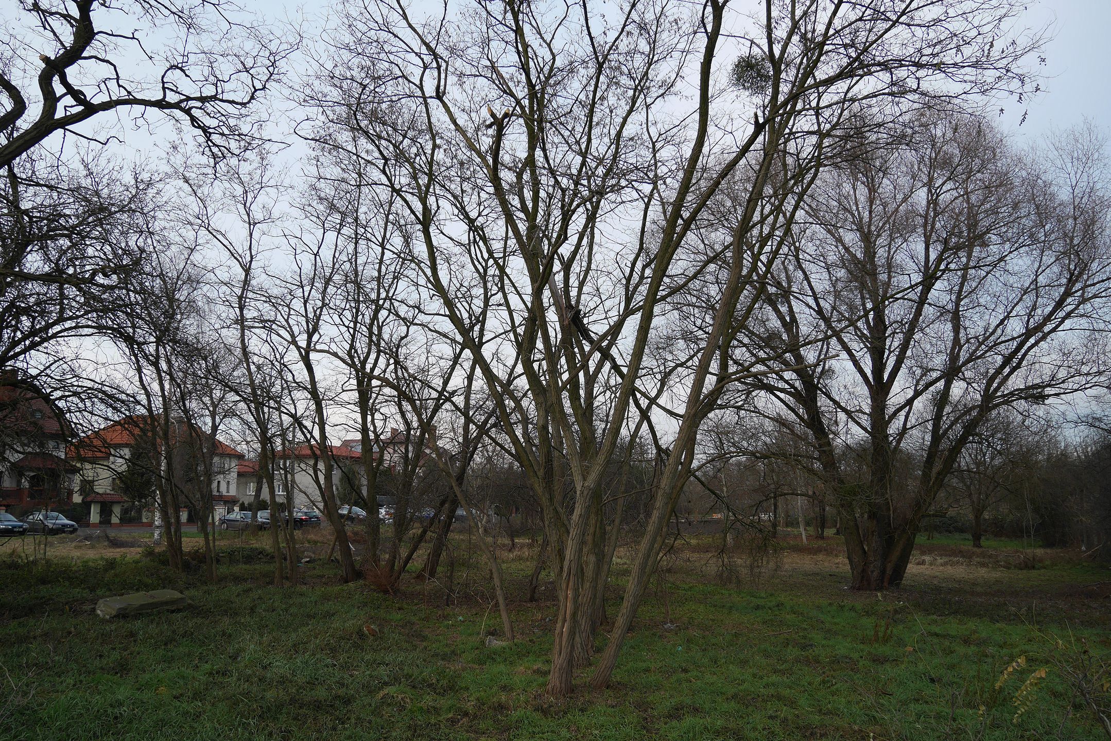 Panasonic Lumix GM5 – miniaturyzacja bez kompromisów [test] 71