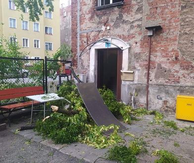 Opole. Strażacy walczyli z nawałnicami