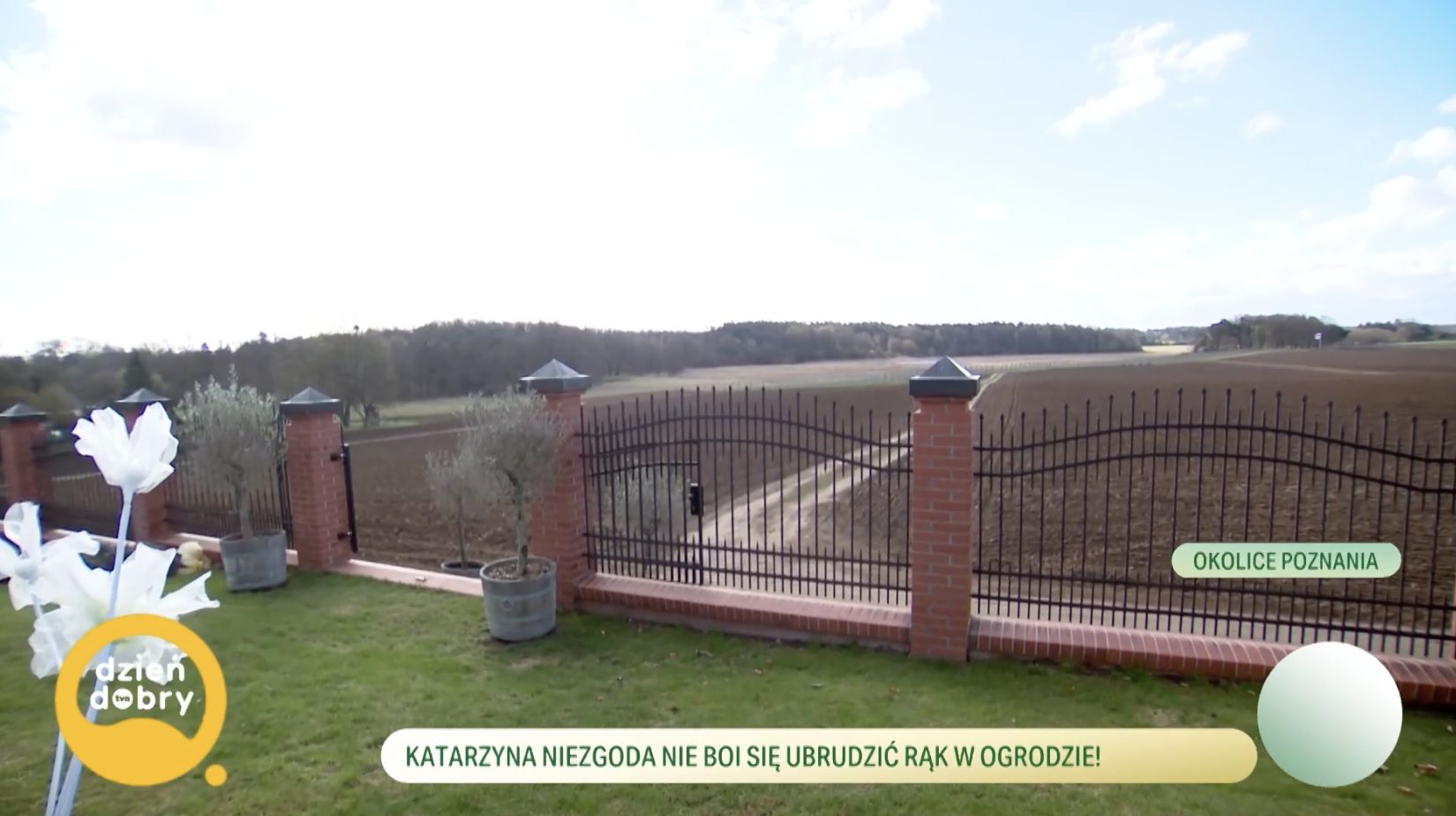 Okolice domu Katarzyny Niezgody