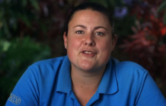 Channel 4 uruchomi na wielu rynkach platformę streamingową