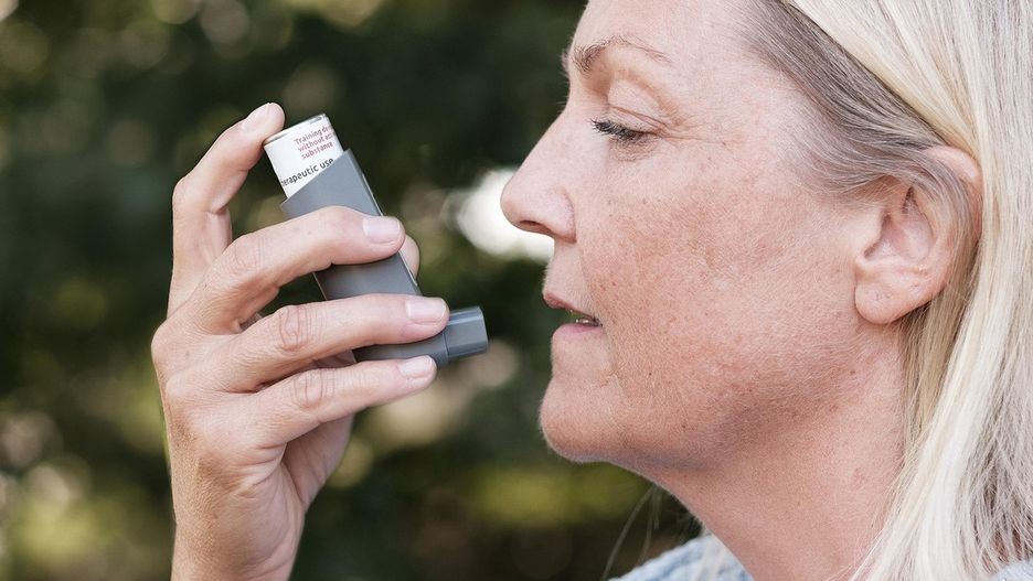 fot. Cnordic CNordic from Pixabay