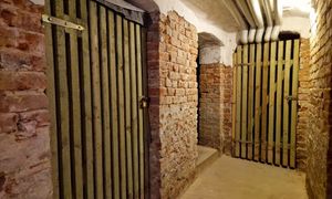 Wynieś z piwnicy, nim będzie za późno. Kto zignoruje, ten zapłaci