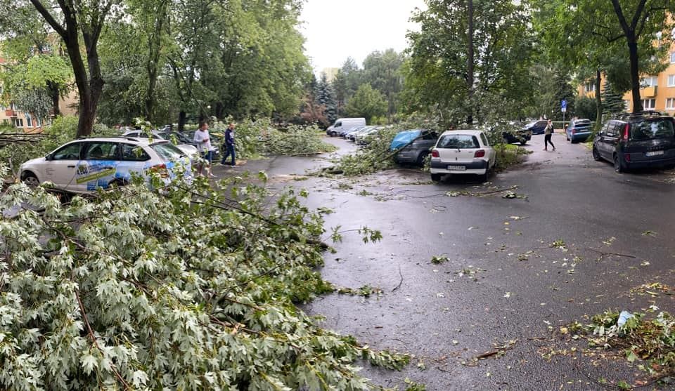 Połamane gałęzie na ul. Jana Chęcińskiego