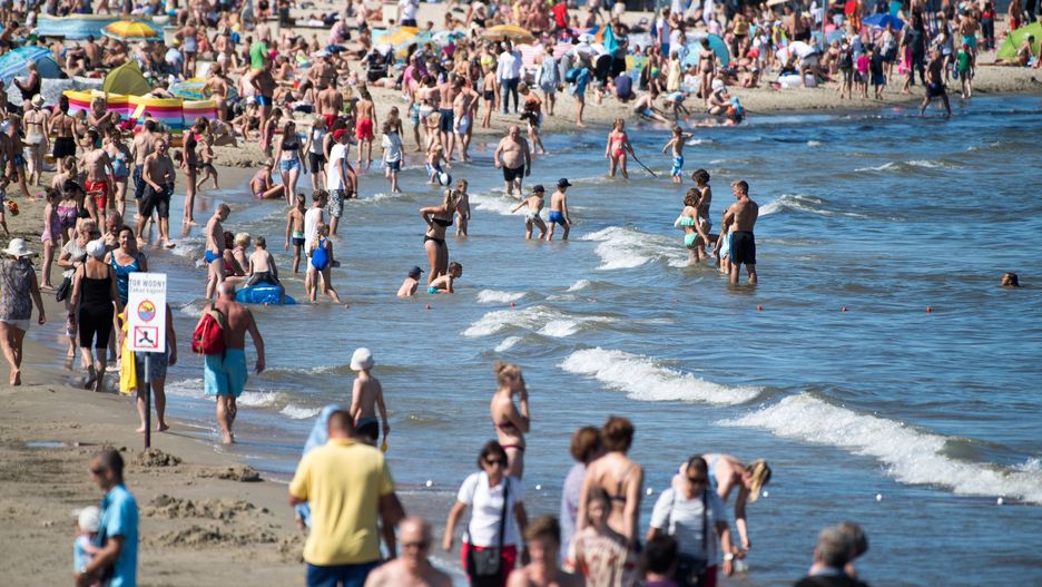 Sinice mogą powodować problemy zdrowotne 