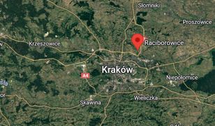 Dwa pociągi na jednym torze. Jechały naprzeciwko siebie