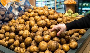 Kryzys ziemniaczany w Rosji. Takich cen jeszcze nie było