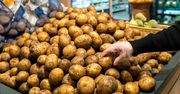 Kryzys ziemniaczany w Rosji. Takich cen jeszcze nie było