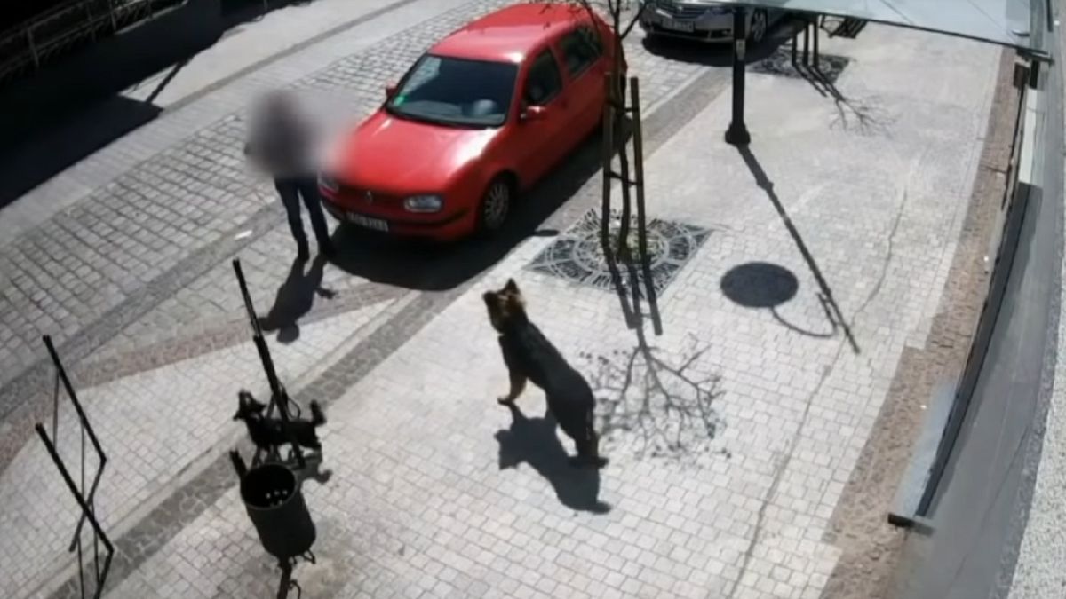 Policja udostępniła nagrania.