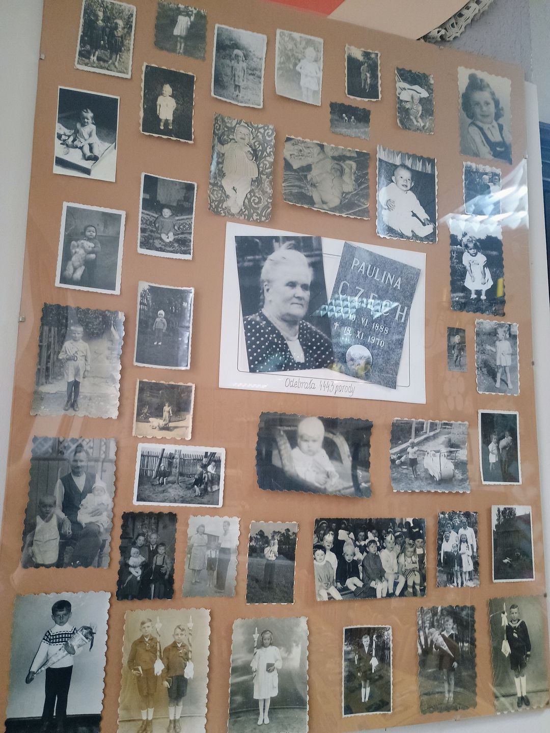 Dzieci Pauliny Czech