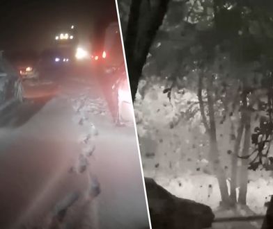 Gwałtowne opady śniegu w Rosji. "Dzieje się coś strasznego"