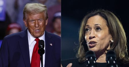 Trump czy Kamala? Co wiesz o wyborach w USA?
