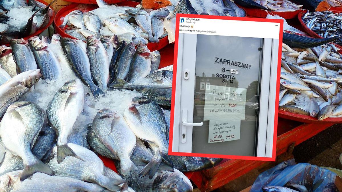 "Przerwa urlopowa. Pojechałam na ryby." Urlop po gliwicku