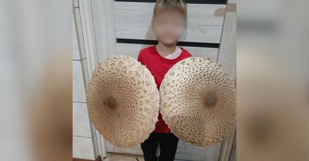 Ludzie aż łapią się za głowy. "Piękne parasole"