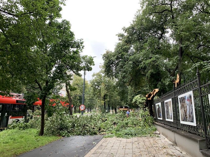 Konary drzew uszkodziły ogrodzenie Ogrodu Saskiego