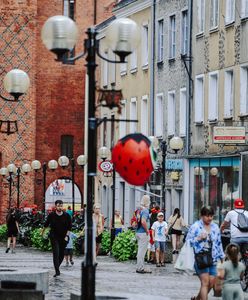 Polacy na lewych zwolnieniach. Wyróżnia się jedna grupa