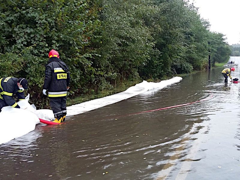 Strażacy wypompowywują wodę z zalanych posesji i dróg.